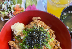 丼セット